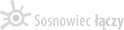 Logo Sosnowiec łączy